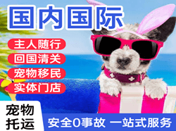 白塔航空物流国际宠物托运 【国